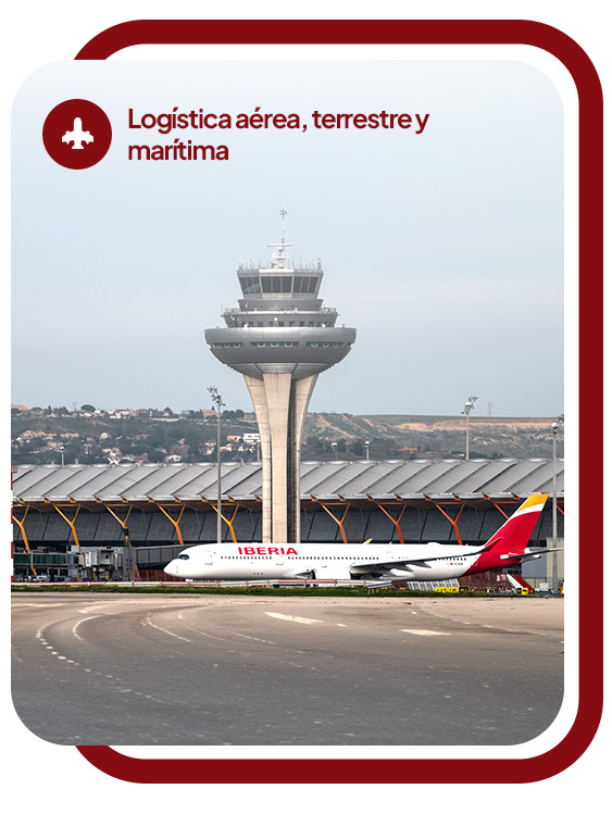 Mudanzas Internacionales